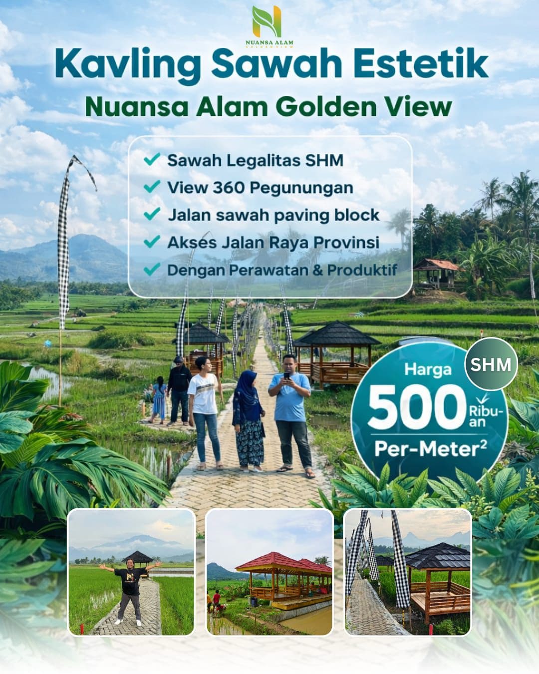 kavling-sawah-estetik-nuansa-alam